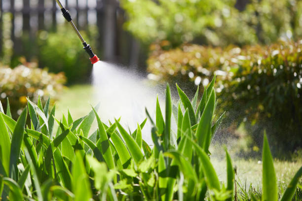 24/7 Emergency Mosquito Control experts in Lancaster, KY